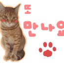 봄날공방