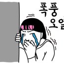 미드미(MIDMI) 이미지