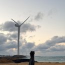 수목원마트편의점 | {1월 겨울 제주도 여행 2} 제주도 눈 오는 동백꽃 수목원, 제주 감성 카페 추천, 제주 인화찐빵 후기...