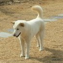 풍호로 이미지