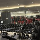 바디짐헬스 이미지