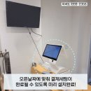 피버트 이미지