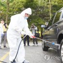 복수축산 이미지