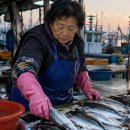 ​사돈 칠순에 300만원 보냈는데.. 내 칠순날 돌아온 봉투를 열고 기가 막혔다 이미지