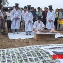 벌목회원 뉴시스