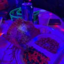 팡팡노래연습장 이미지