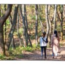 상현 제2농장 이미지