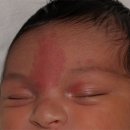 연어반[Salmon patch] 이미지