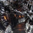 Alien Romulus 이미지