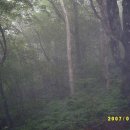 자연1호 이미지