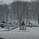 삼가정 이미지
