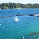 오션어드벤처 이미지