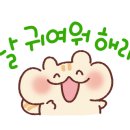 엄지청소 이미지