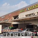인천도매정육