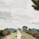 신나는전동바이크 네이버블로그