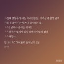 꼬꼬퀸즈 | (K)nee