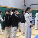 MTA 명품태권도장 이미지