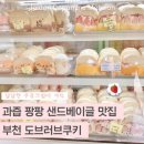 정주빌딩 | [부천샌드베이글] 과즙 팡팡 샌드베이글 맛집 부천 도브러브쿠키 사 먹은 후기
