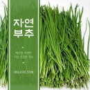 현대건강원 이미지