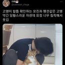 펭귄PC방 이미지