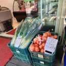 월평축산 이미지