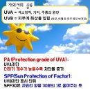 네이쳐스키 이미지