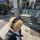 대만? 여행