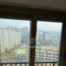 동일박사공인중개사사무소 이미지