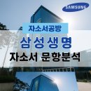 (생애단계과정) 나도 이모티콘 작가(하반기) | [삼성생명 채용] 2025년 하반기 삼성생명 자소서 문항분석(~25.9.3)