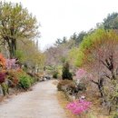 대영농원 이미지