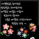 푸르미 이미지