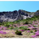 한라산 선작지왓 이미지