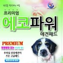 에코사료 네이버블로그