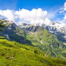 산기슭목장 이미지