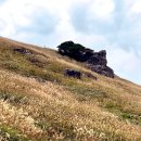 불암역 1번출구(부산방향) | 부산 근교 가을 등산 명소🌾 영남알프스 간월재 억새 군락지 코스 총정리