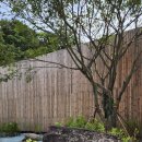 건축사사무소뿌리 이미지