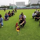 한마음국제여행사 이미지