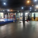 용인대SM복싱클럽 이미지