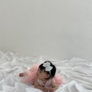 경기도광주 7개월 아기 스튜디오 촬영 이다훈스튜디오 leedahun_studio 촬영