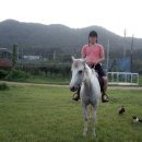 담양 사슴농원 이미지