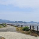 의항 Daum카페