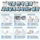 햇볕 세탁 이미지