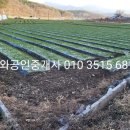 이강수공인중개사사무소 이미지