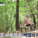 바른자세요가교실 이미지