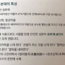 와이에스케이(YSK)