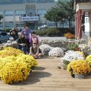 의좋은형제장터 이미지