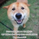 두리 스토리 네이버블로그
