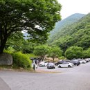 금화계곡주차장 이미지