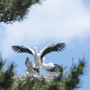 예산황새공원 주차장 이미지