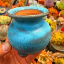 청동원